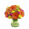 Le bouquet Because You Are Special par FTD Le bouquet Because You Are Special par FTD